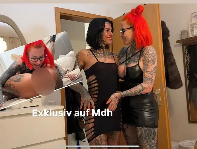 Cat-Coxx — Amateur-Profilbild