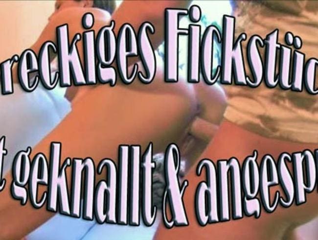 Dreckiges Fickstück hart geknallt !!