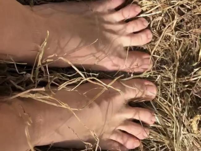 Sexy Füße im Stroh