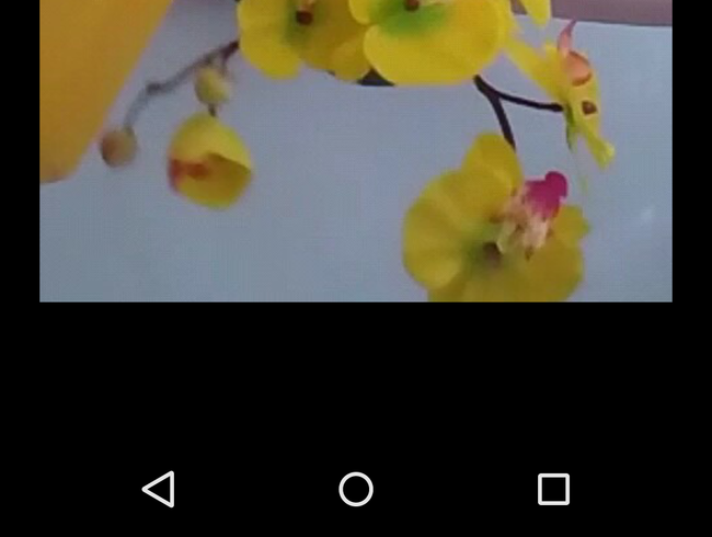 Blume gießen - Penetration mit Gießkanne