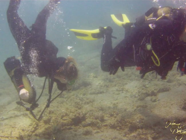 Scuba-Diving with Hera