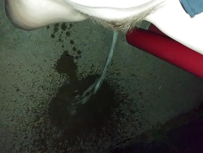 Stop #296 - Public Car Wash Floor Pee!