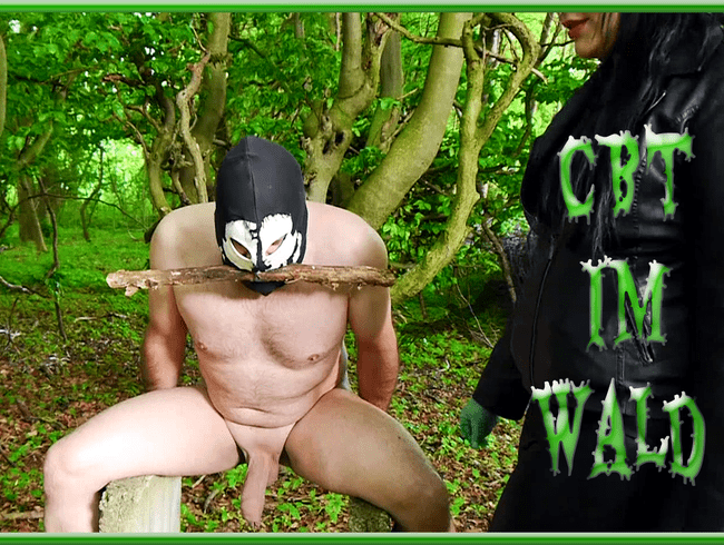 CBT im Wald