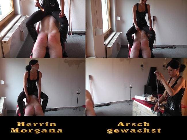 Arsch gewachst