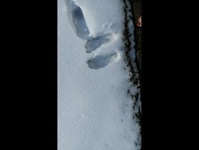 Fuß-Video, Gang durch Schnee