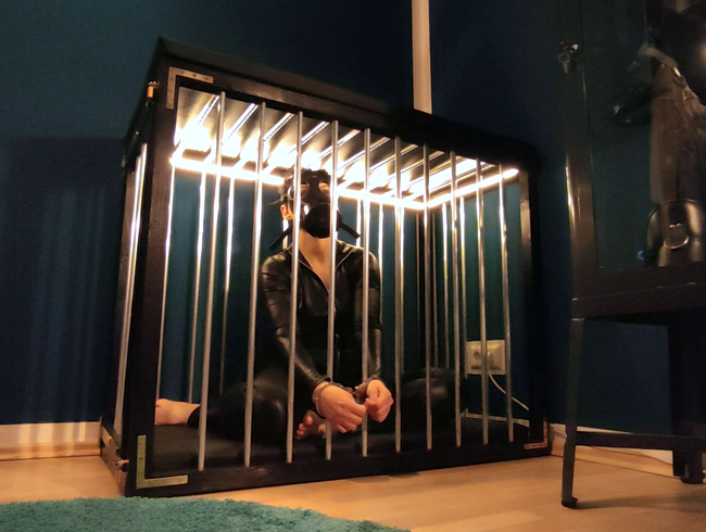 Caged - einfach in den Käfig gespertt!